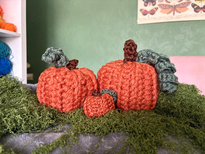 Small Pumpkin
